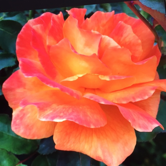 NEW COMMUNICATION PAGE.... Say Hello, etc. 😄 - Picture 2 of 5